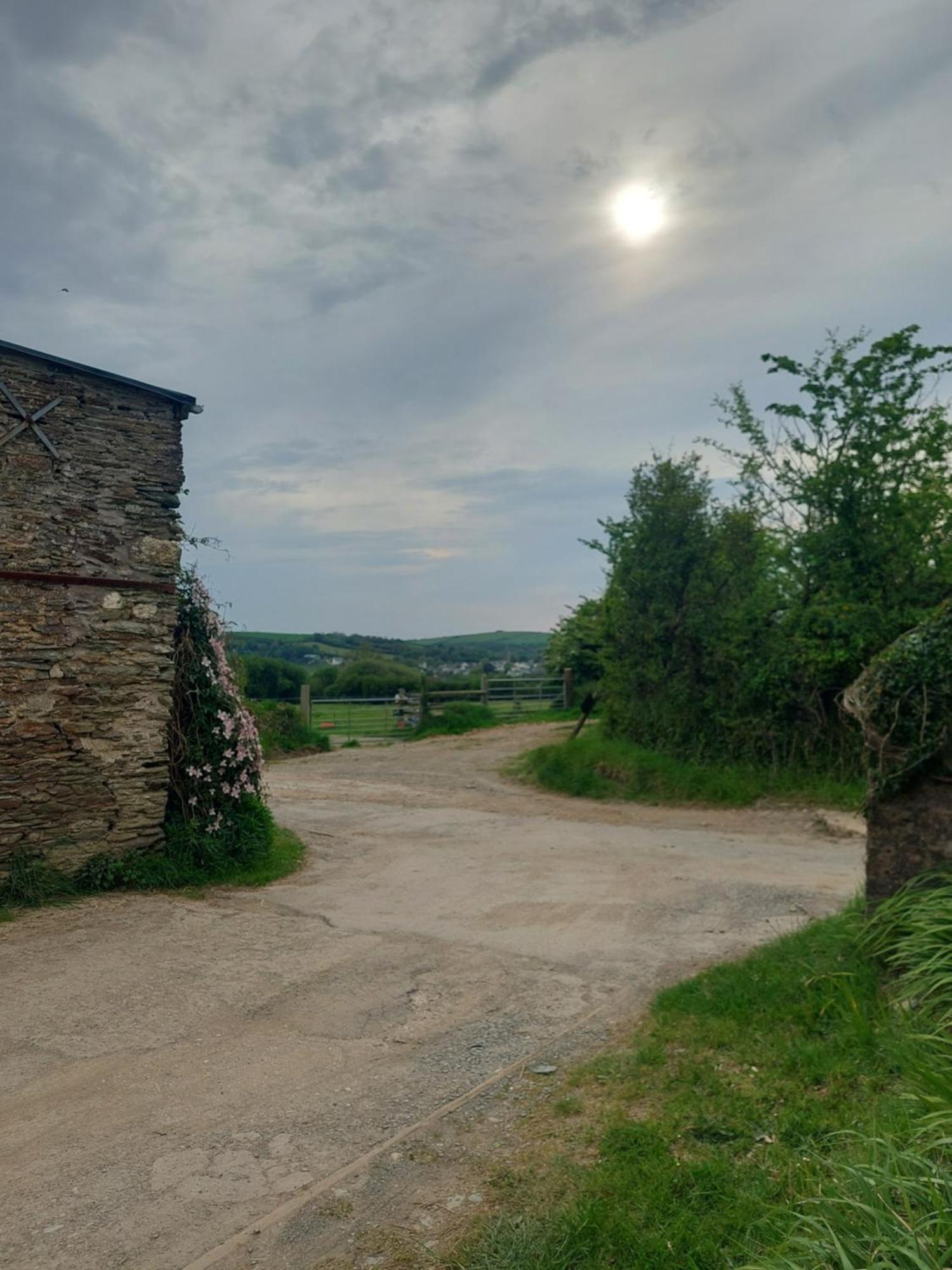Rural Historic Farmhouse - A Peaceful Escape West Down Екстериор снимка