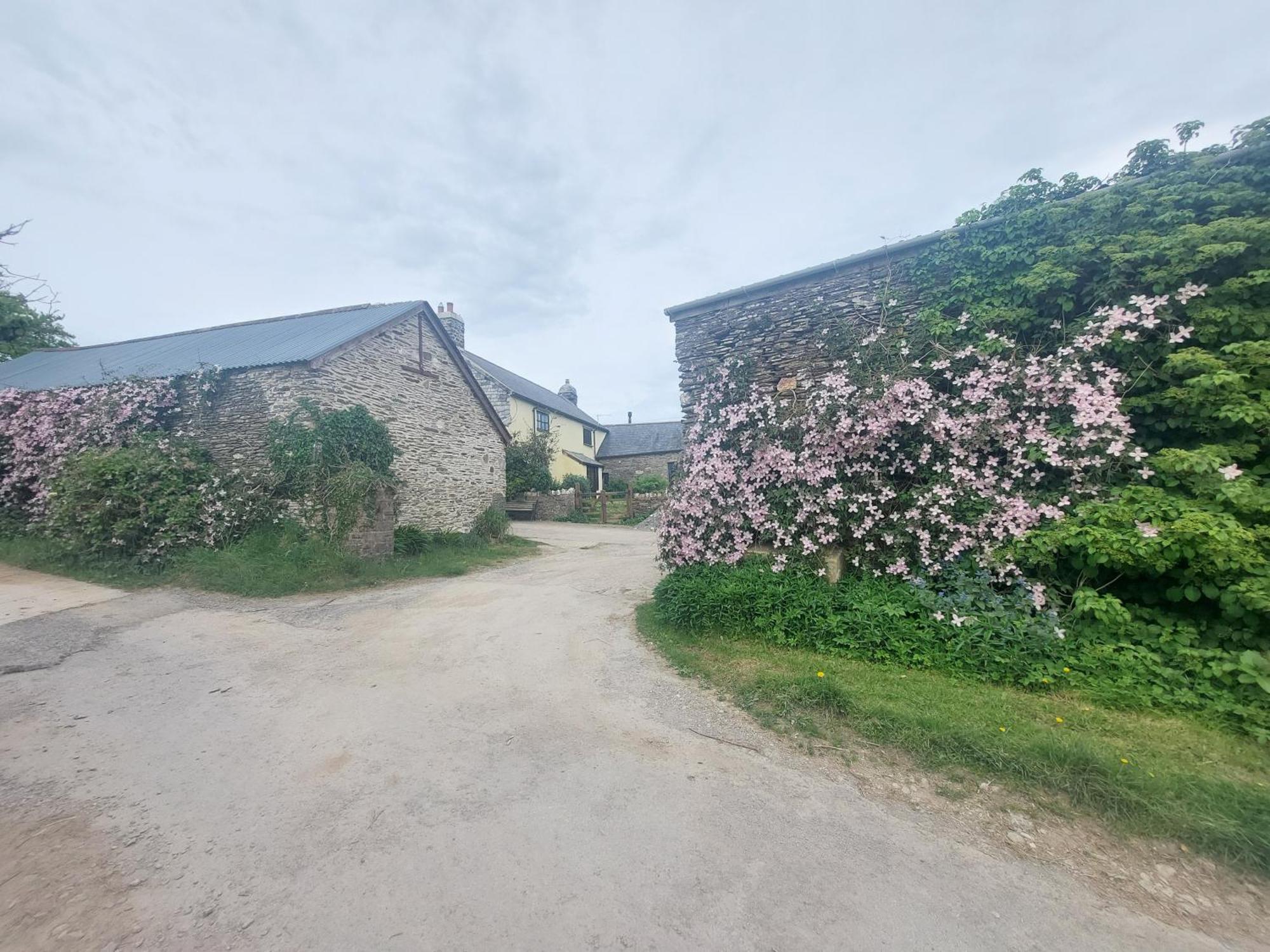 Rural Historic Farmhouse - A Peaceful Escape West Down Екстериор снимка