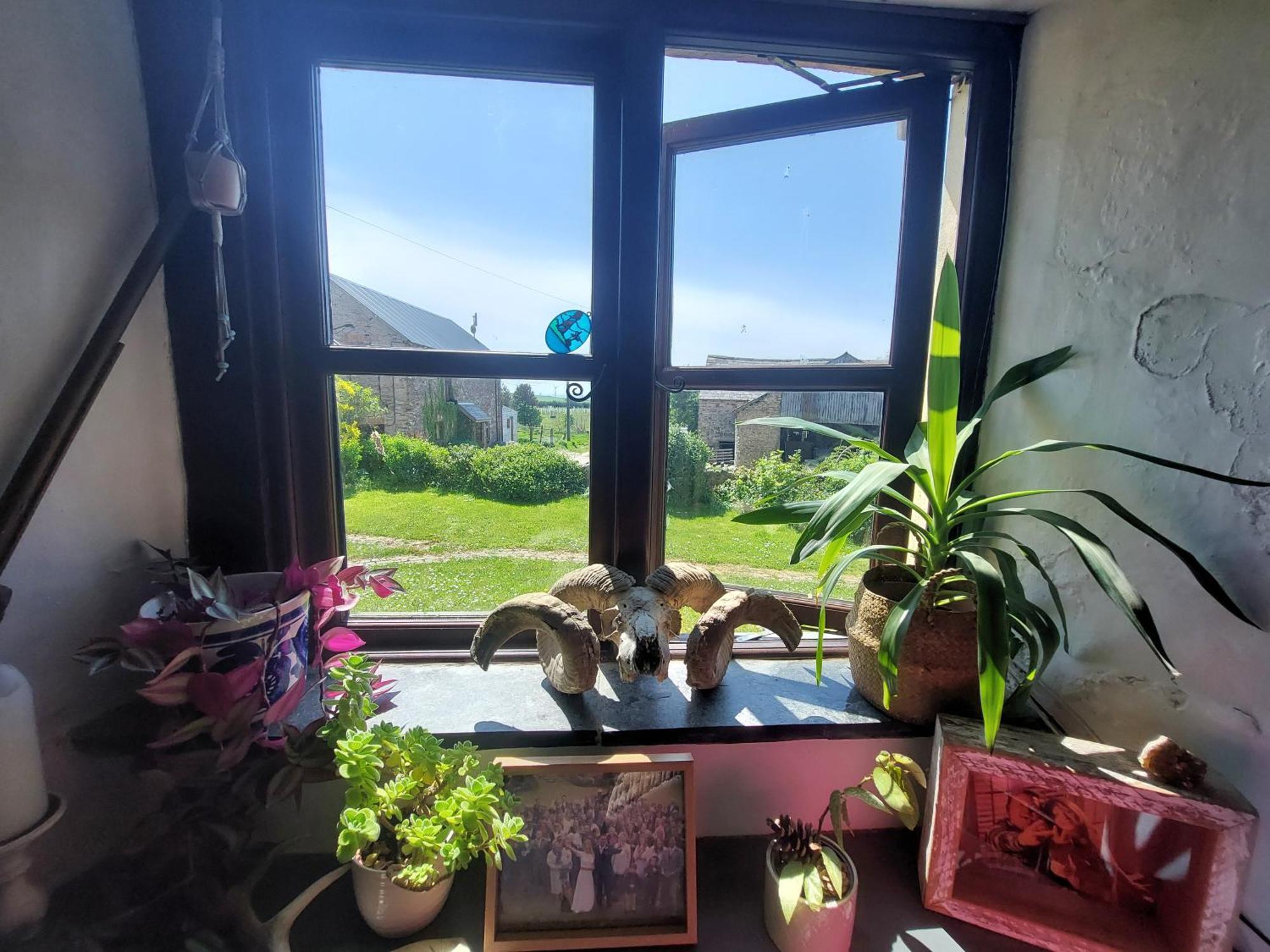 Rural Historic Farmhouse - A Peaceful Escape West Down Екстериор снимка